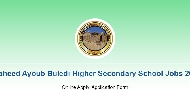 Shaheed Ayoub Buledi Higher Secondary School Jobs 2024